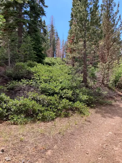 0 Poor Boy Rd, Markleeville, CA 96120 photo 4