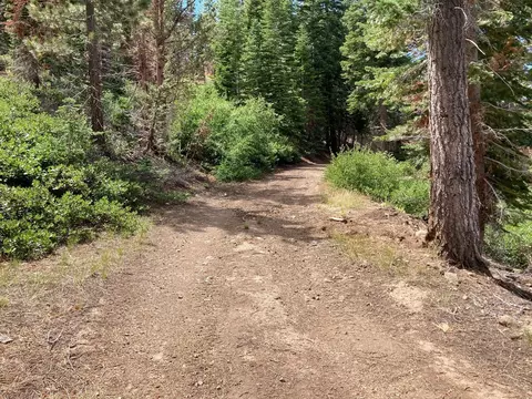 0 Poor Boy Rd, Markleeville, CA 96120 photo 5