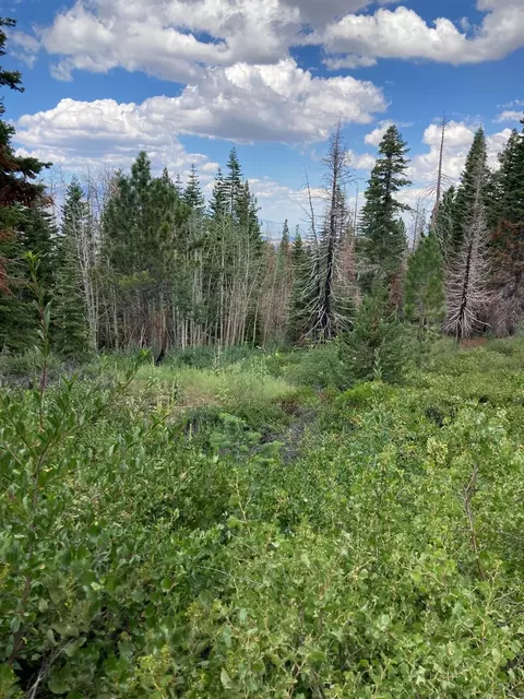 0 Poor Boy Rd, Markleeville, CA 96120