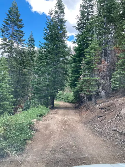 0 Poor Boy Rd, Markleeville, CA 96120 photo 3