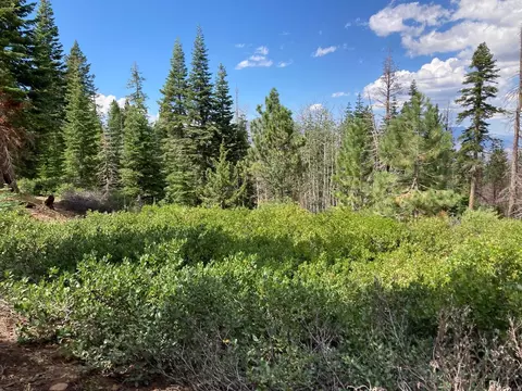 0 Poor Boy Rd, Markleeville, CA 96120 photo 8