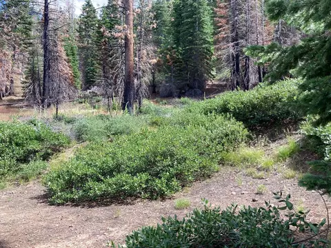 0 Poor Boy Rd, Markleeville, CA 96120 photo 6