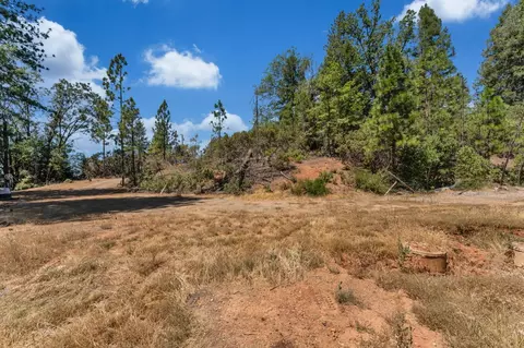 2480 Fox Run Rd, Georgetown, CA 95634 photo 3