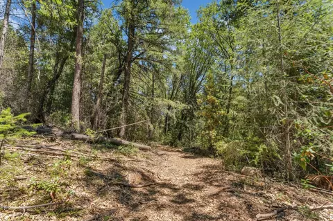 2480 Fox Run Rd, Georgetown, CA 95634 photo 12