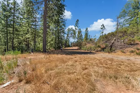 2480 Fox Run Rd, Georgetown, CA 95634 photo 28