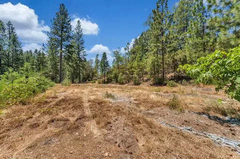 2480 Fox Run Rd, Georgetown, CA 95634 photo 29