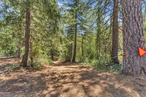 2480 Fox Run Rd, Georgetown, CA 95634 photo 6