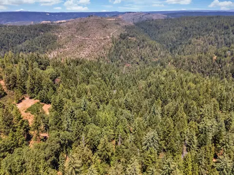2480 Fox Run Rd, Georgetown, CA 95634 photo 18