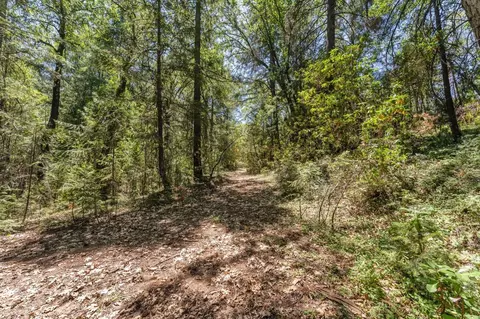 2480 Fox Run Rd, Georgetown, CA 95634 photo 22