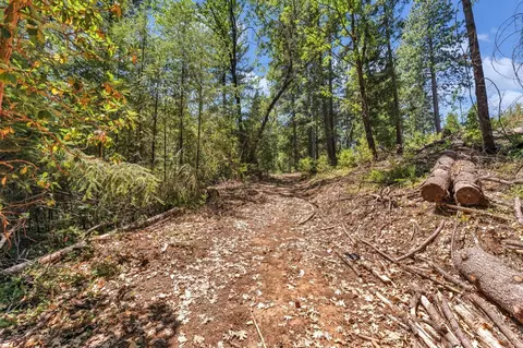2480 Fox Run Rd, Georgetown, CA 95634 photo 13