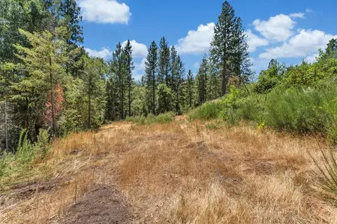 2480 Fox Run Rd, Georgetown, CA 95634 photo 9