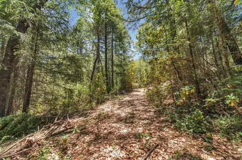 2480 Fox Run Rd, Georgetown, CA 95634 photo 37