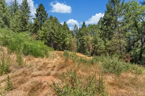 2480 Fox Run Rd, Georgetown, CA 95634 photo 8