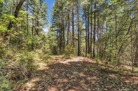 2480 Fox Run Rd, Georgetown, CA 95634 photo 36