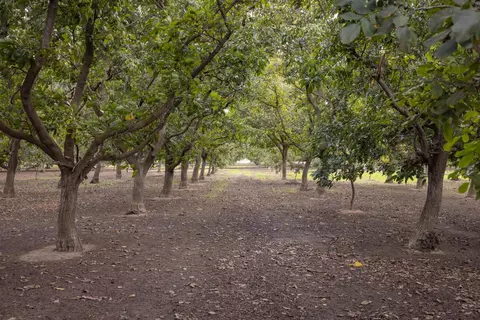 7244 Paradise Rd, Modesto, CA 95350 photo 20