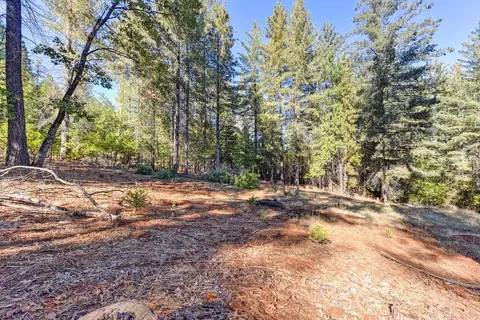 4700 Windfree Ln, Georgetown, CA 95634 photo 47