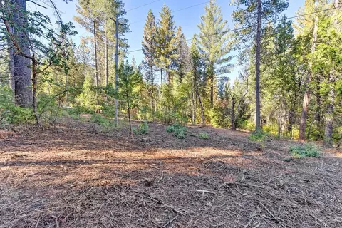 4700 Windfree Ln, Georgetown, CA 95634 photo 52