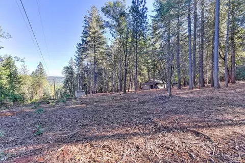 4700 Windfree Ln, Georgetown, CA 95634 photo 54