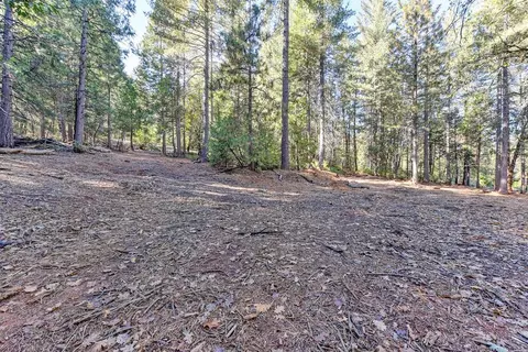 4700 Windfree Ln, Georgetown, CA 95634 photo 42