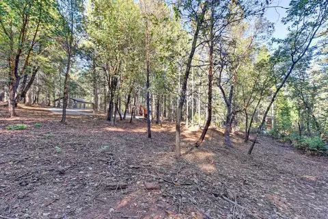 4700 Windfree Ln, Georgetown, CA 95634 photo 29