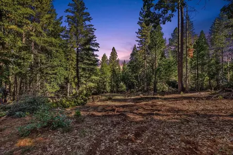 4700 Windfree Ln, Georgetown, CA 95634 photo 2