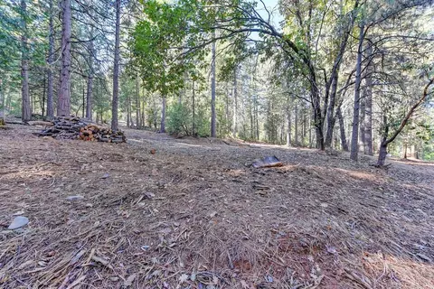 4700 Windfree Ln, Georgetown, CA 95634 photo 41
