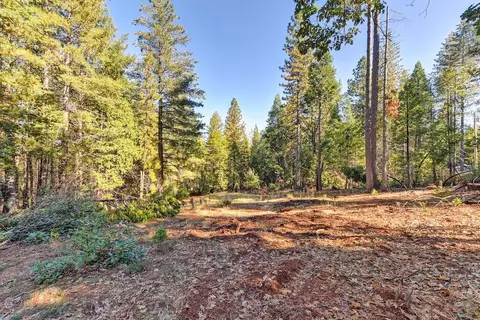 4700 Windfree Ln, Georgetown, CA 95634 photo 46