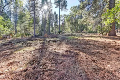 4700 Windfree Ln, Georgetown, CA 95634 photo 45