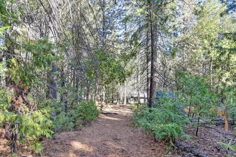 4700 Windfree Ln, Georgetown, CA 95634 photo 50