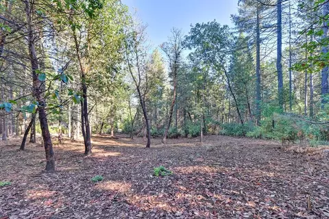 4700 Windfree Ln, Georgetown, CA 95634 photo 30