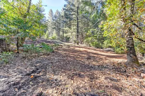 4700 Windfree Ln, Georgetown, CA 95634 photo 44