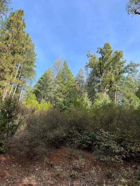 0 Tin Ranch Rd, Georgetown, CA 95634 photo 2