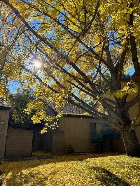 4240 Cowell Blvd, Davis, CA 95618 photo 4