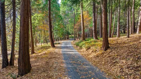 14327 Scotts Flat Pines Rd, Nevada City, CA 95959