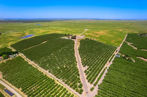 25505 E State Route 26, Linden, CA 95236 photo 16