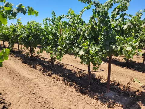 6860 E Jahant, Acampo, CA 95220 photo 2