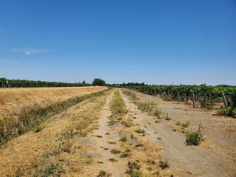 10698 W Barber Rd, Thornton, CA 95686 photo 5