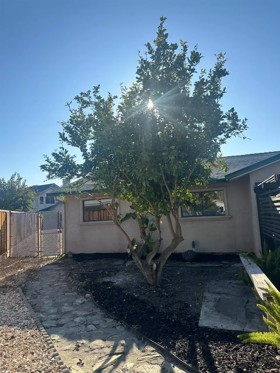 1424 Juniper Ct, Tracy, CA 95376 17 Photos Movoto