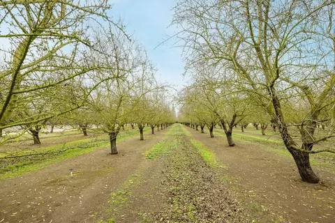 19288 S Carrolton Rd, Ripon, CA 95366 photo 2