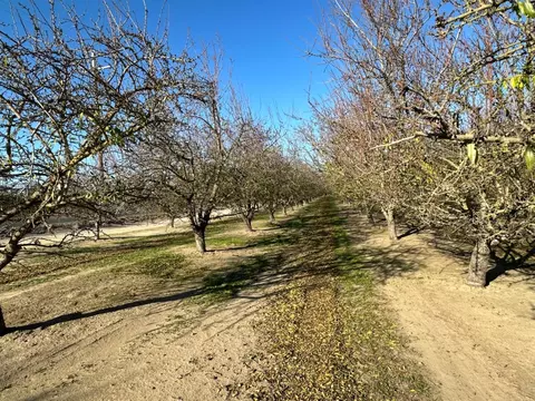 19288 S Carrolton Rd, Ripon, CA 95366 photo 7