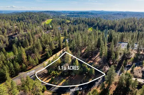 6005 Holly Oak Ln, Meadow Vista, CA 95722