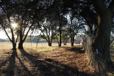 3540 Burson Rd, Burson, CA 95225 photo 37