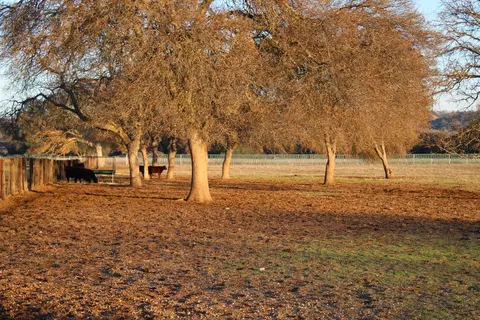 3540 Burson Rd, Burson, CA 95225 photo 57