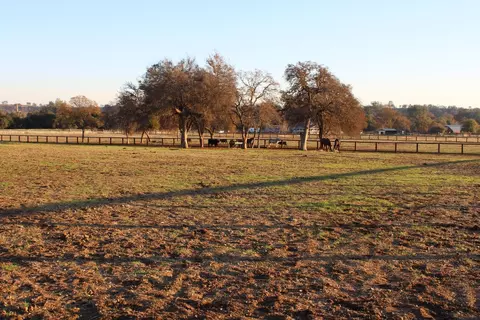 3540 Burson Rd, Burson, CA 95225 photo 54