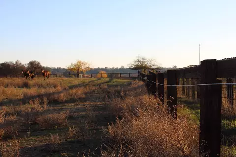 3540 Burson Rd, Burson, CA 95225 photo 45