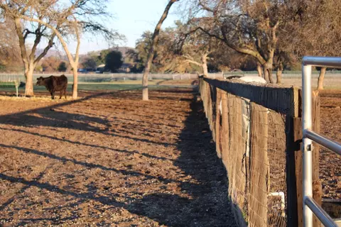 3540 Burson Rd, Burson, CA 95225 photo 56