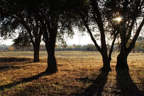 3540 Burson Rd, Burson, CA 95225 photo 39