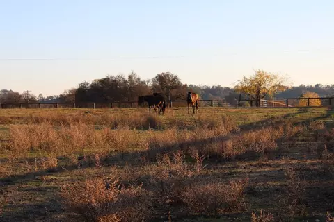 3540 Burson Rd, Burson, CA 95225 photo 46