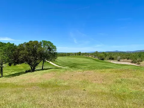 1746 Oak Creek Dr, Copperopolis, CA 95228 photo 2