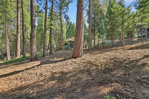 2388 Camanche Dr, Arnold, CA 95223 photo 2